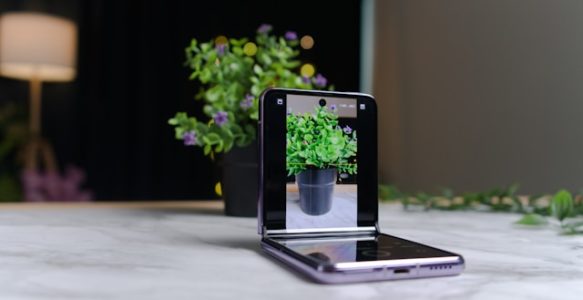 自分で撮影！プロ並みのホームページ用写真をスマホで撮る秘訣