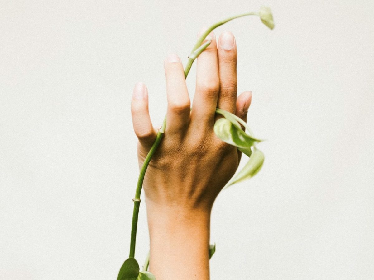 【例文あり】脱ホットペッパー！掲載料0円で「理想のお客さま」が集まるネイルサロンHP集客術