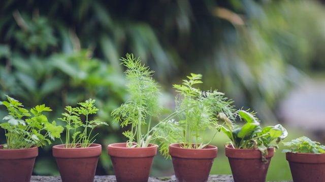 格安制作で提供される「サポート体制」のレベル比較